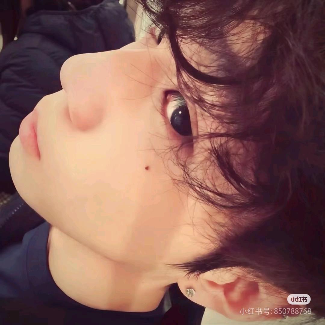 晚睡小狗
