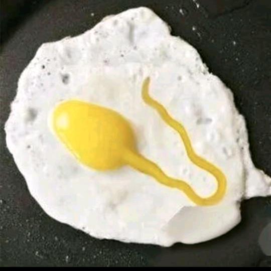 一个被强煎九次的蛋