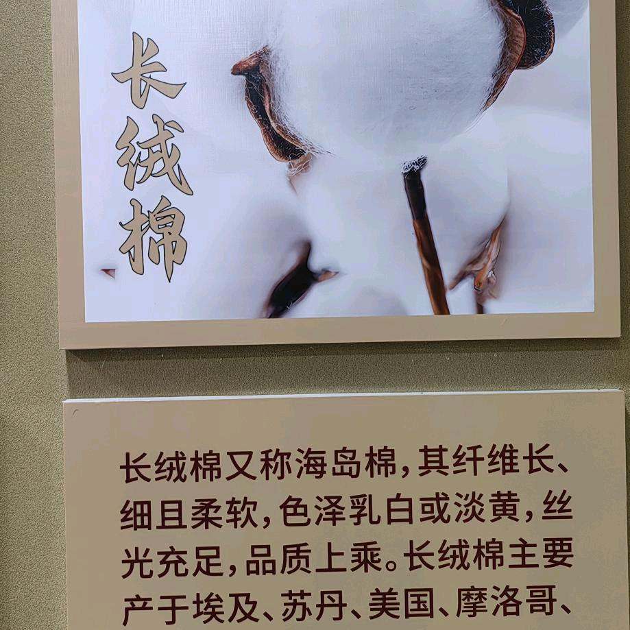塵埃头像