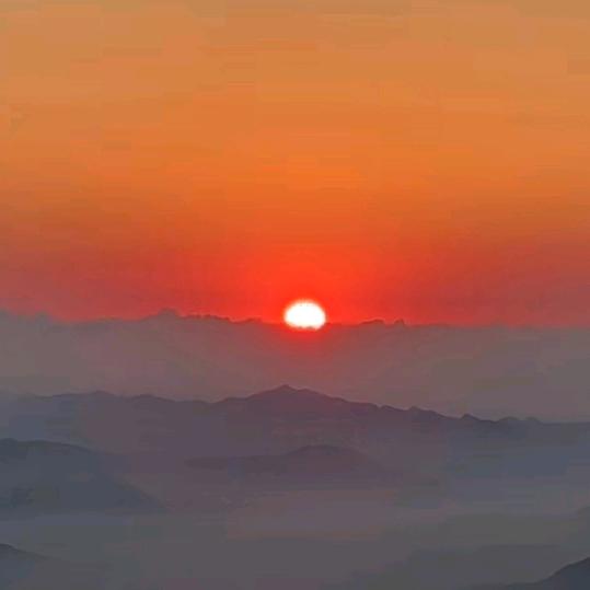 阿哥8：10分钟直播