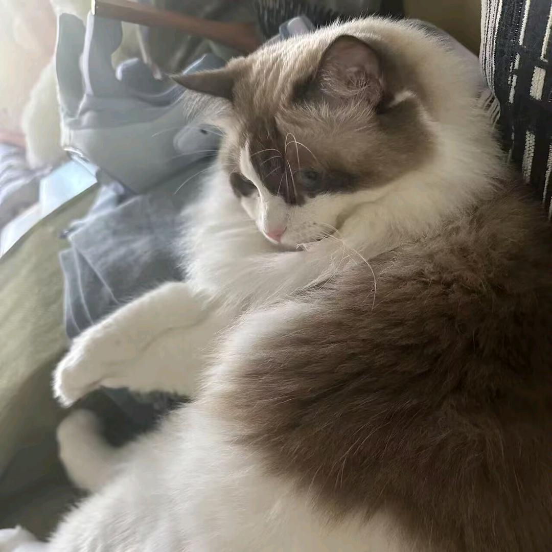 森モリ