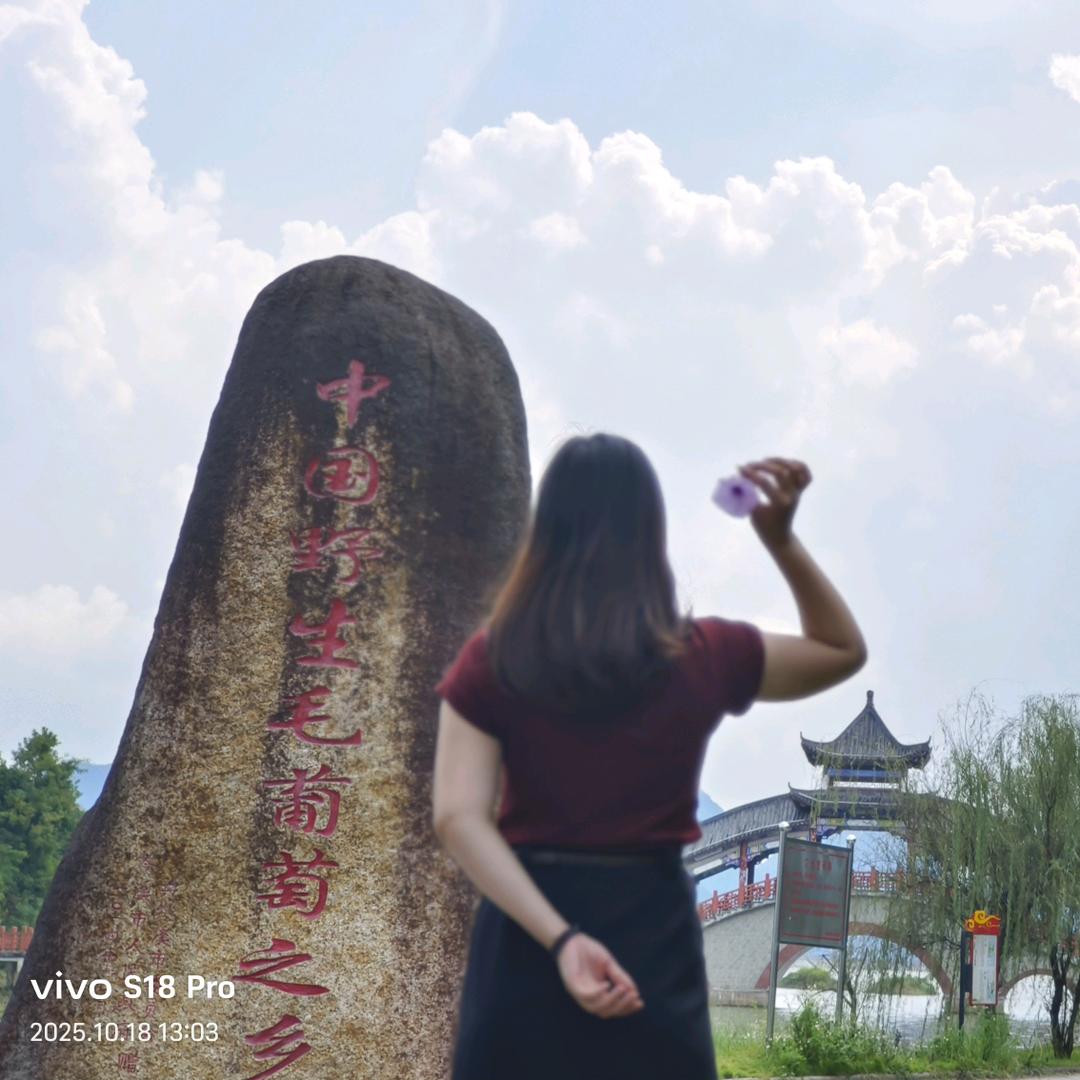南方小土豆🥔