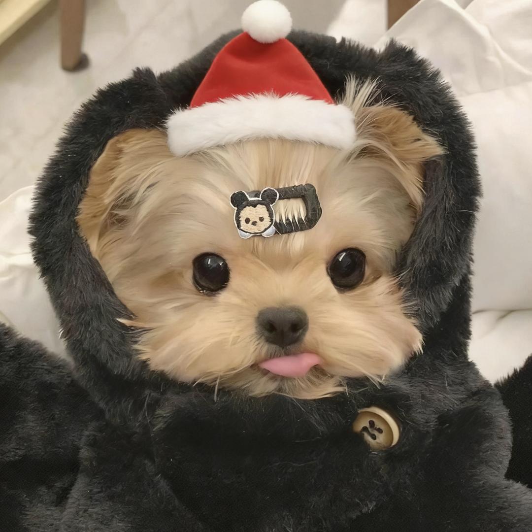 搁浅_