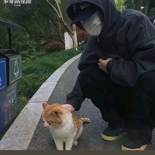 枯木逢春，