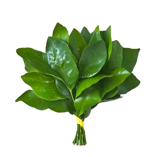 酸辣土豆思🇨🇳