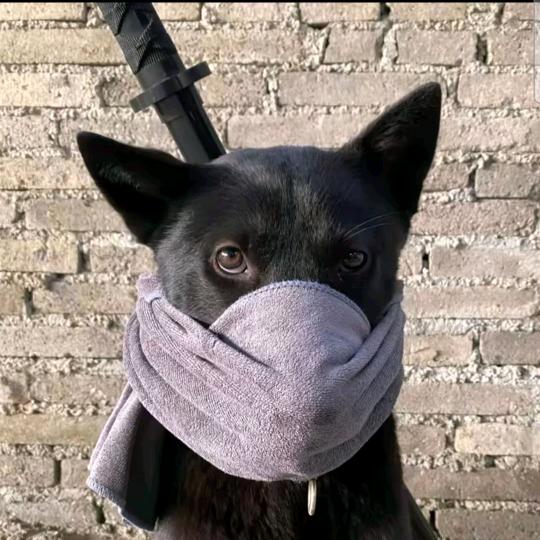 手歪歪的没球