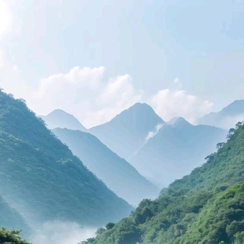清婉藏宝阁