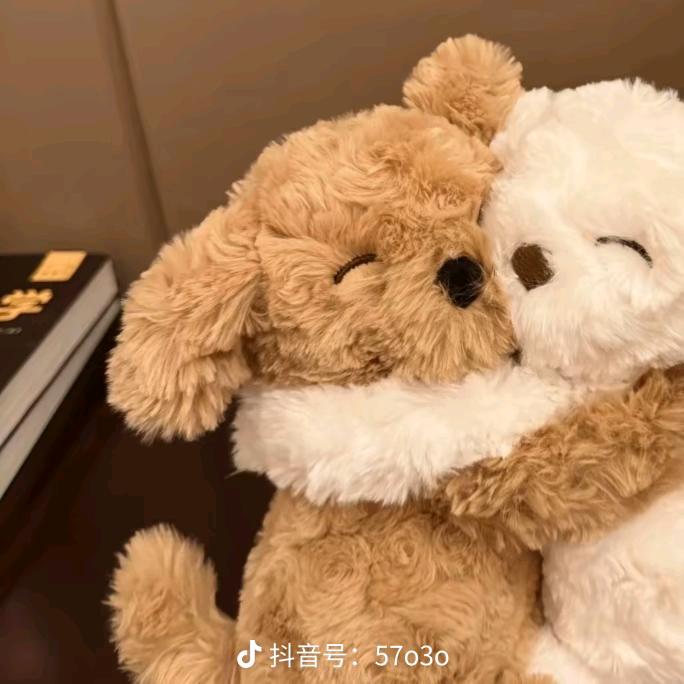 火玄酉告阳崽