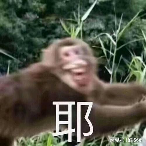 峨眉马喽我腚最红