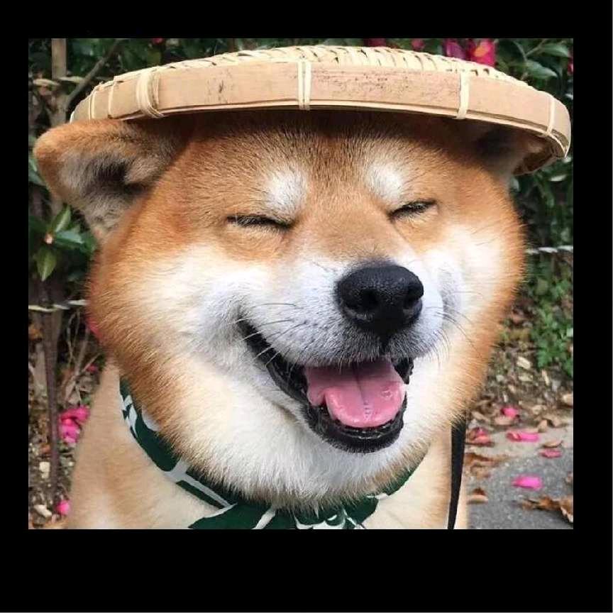 阴天快乐.
