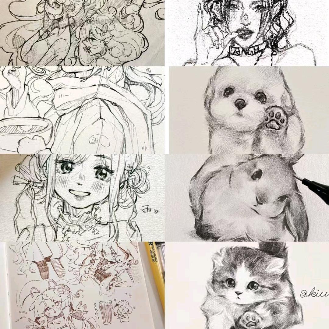 索ʕ•̫͡•ʔ昭昭如愿✨