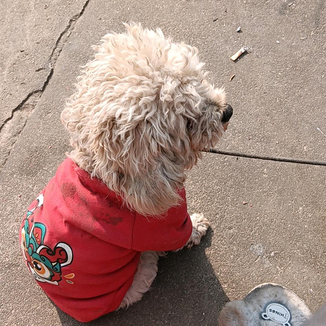 〆﹏じò ぴé╰EXO