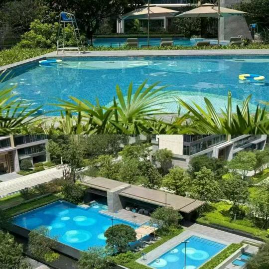 美美橱窗好物分享