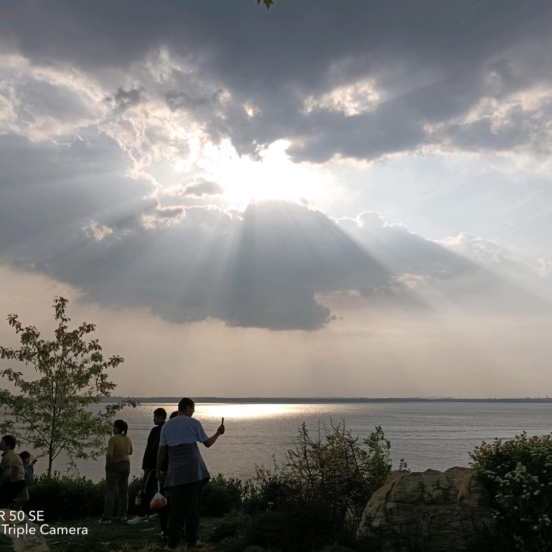 琴☀️☀️☀️