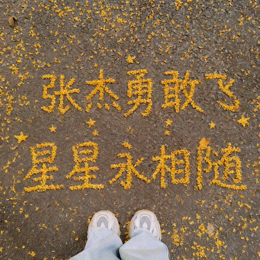 星星🌟