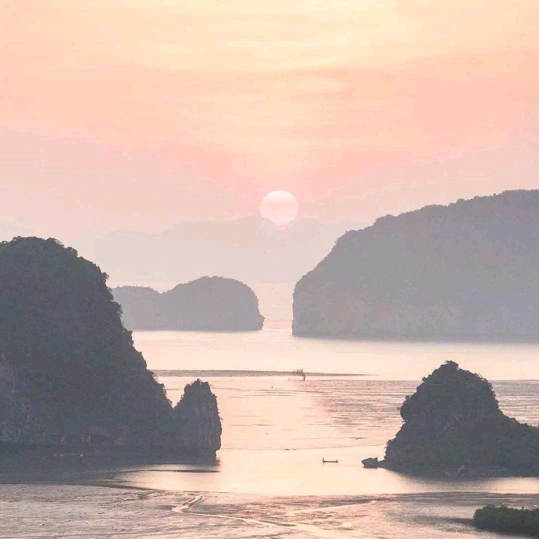 果 柯