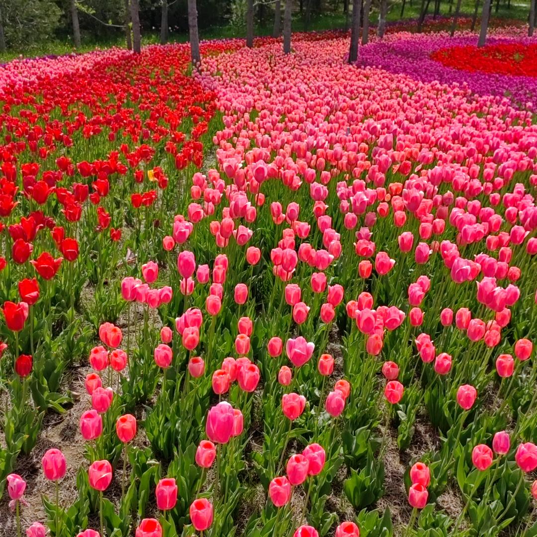 用户9444574919张姐。394