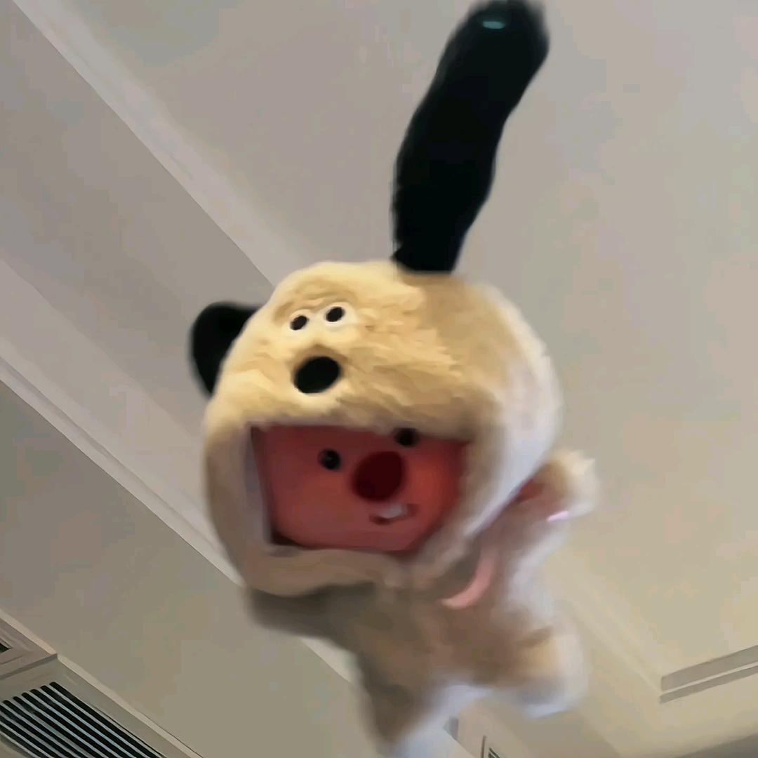 不叫黄小姐.