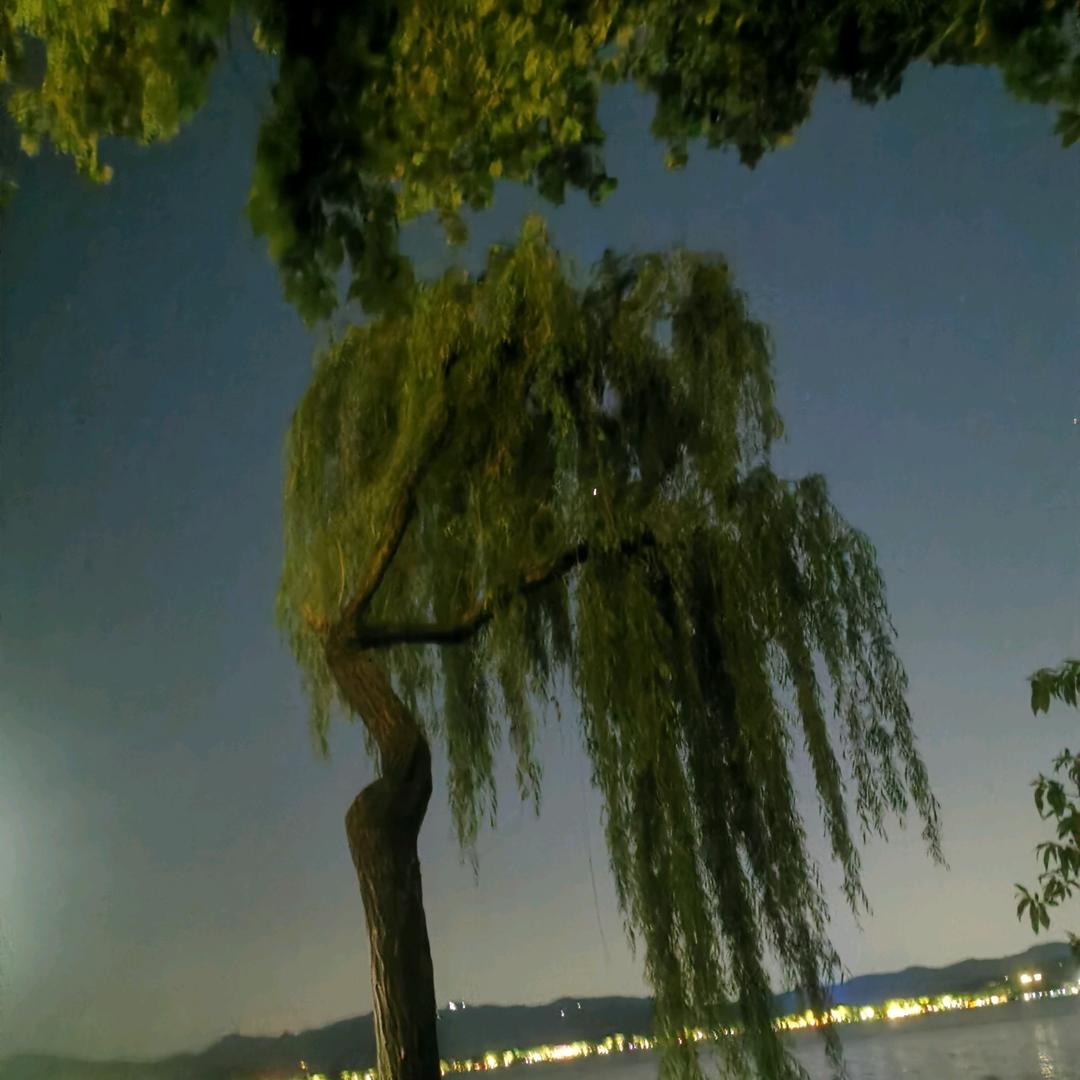 小伙伴
