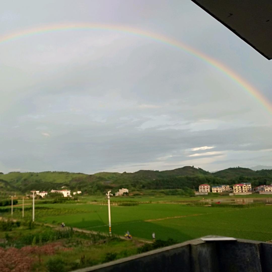 七阿哥