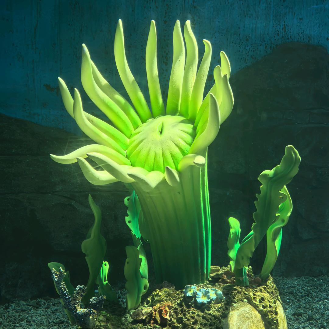 雾非雾丶╮の迷惘