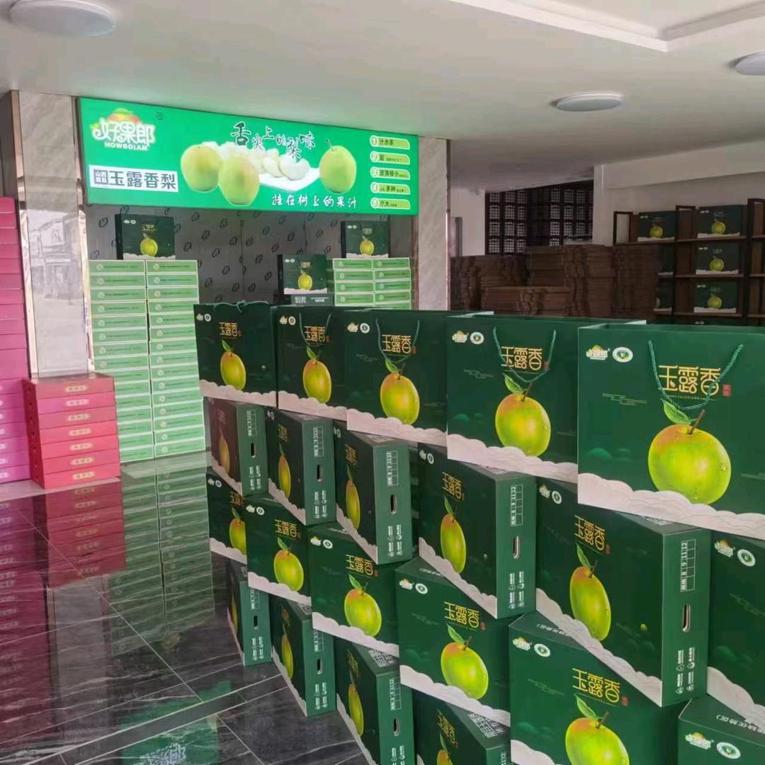 临汾玉露香梨专业合作社