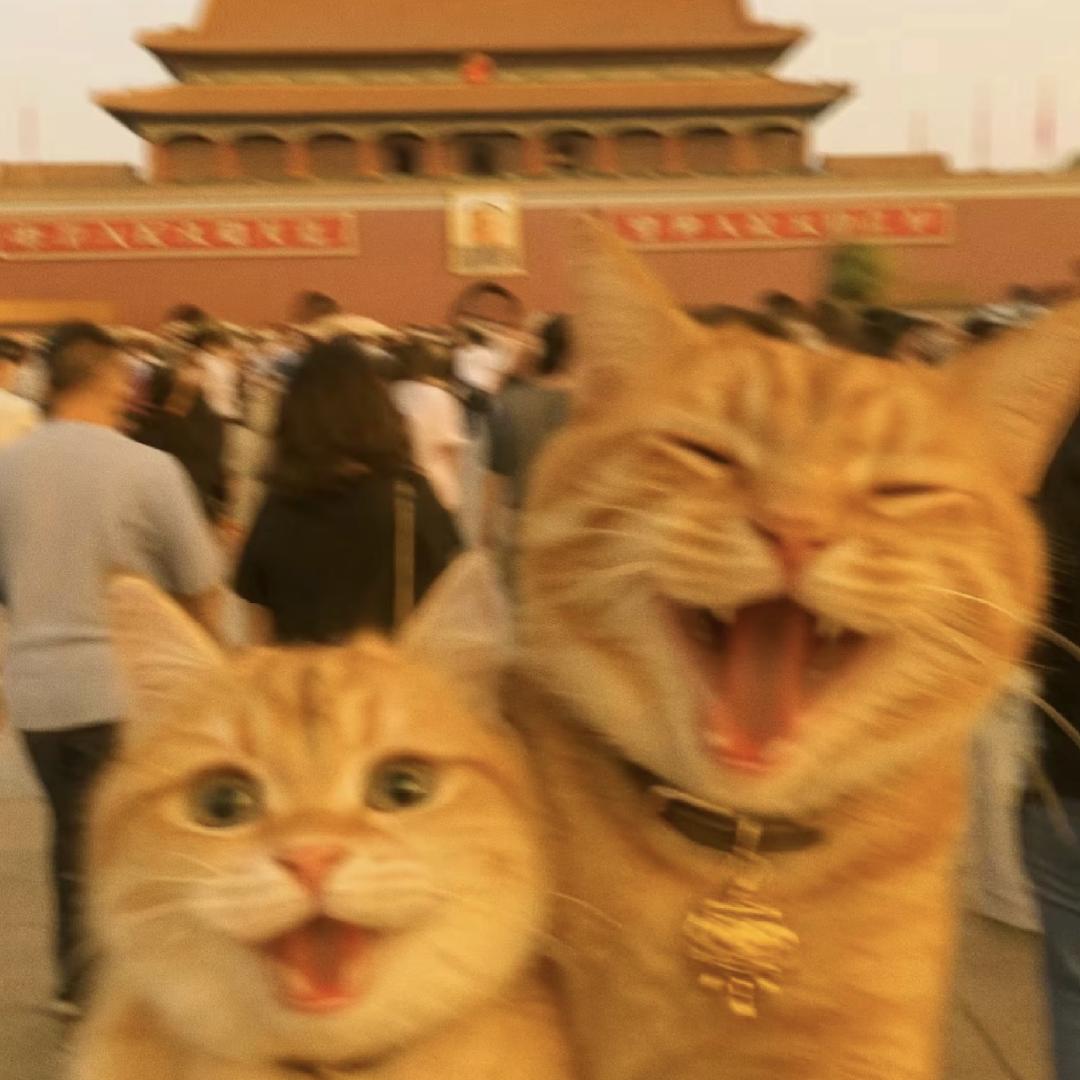 乐读