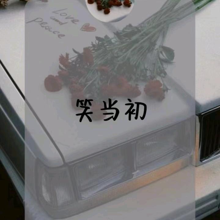 💕: 七秒໊記⃨憶᭄এ