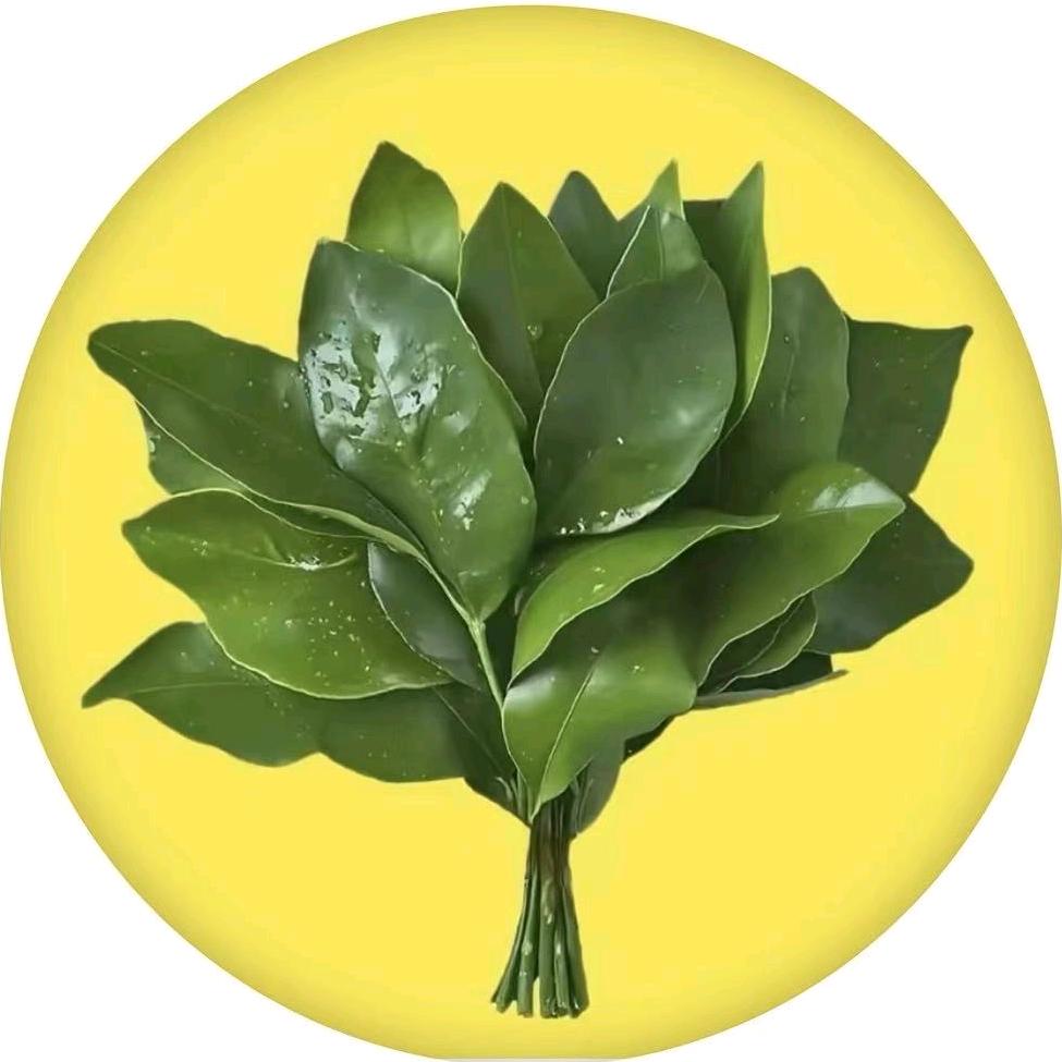 𵾩٨⍤⃝月下独酌