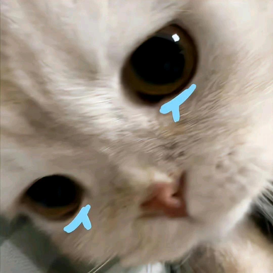 誮