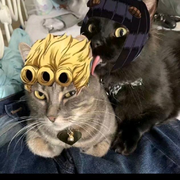 浮生会所147号街壽