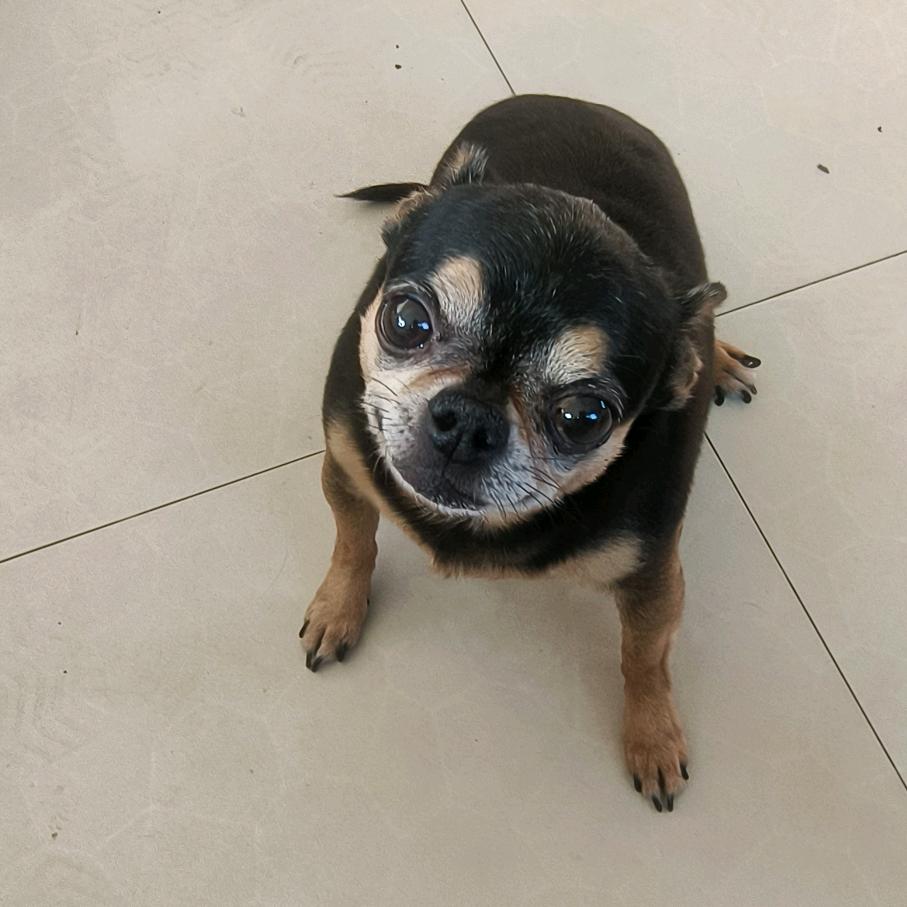 赫某不识抬举～