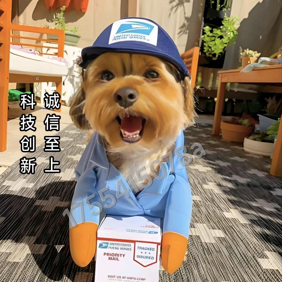 USPS科技单延时单 小可
