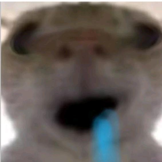 蜂鼠（三角洲行动）