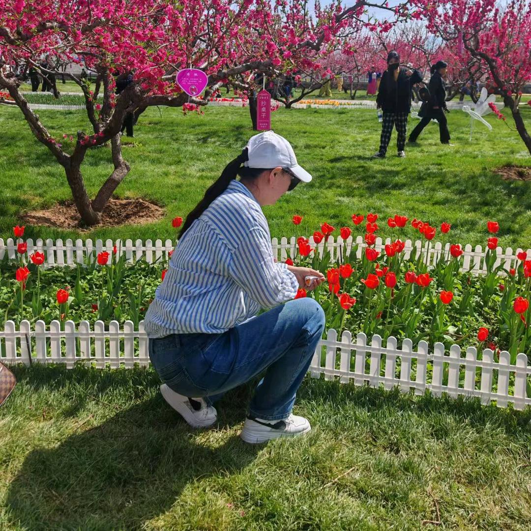 午月花开