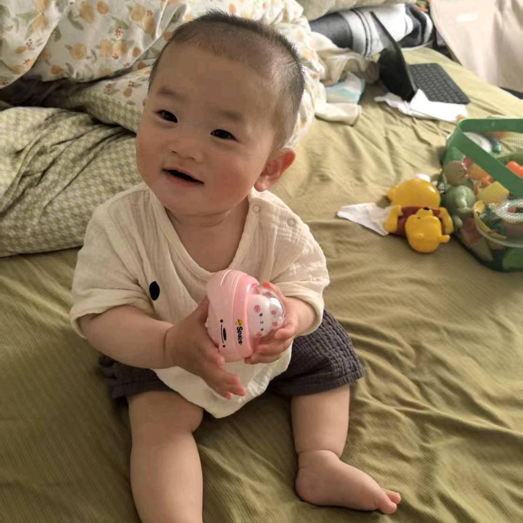 聪游饼