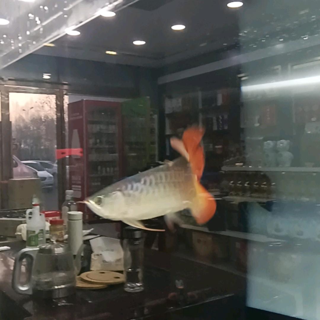 可乐哥