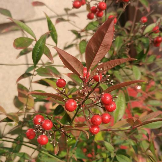 ଓ拾贰月🍀¹⁷࿐