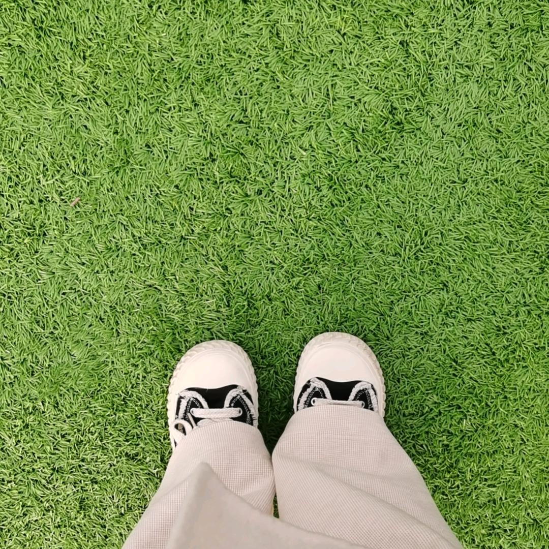 金吒木吒，我是毛吒