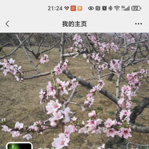 春雨