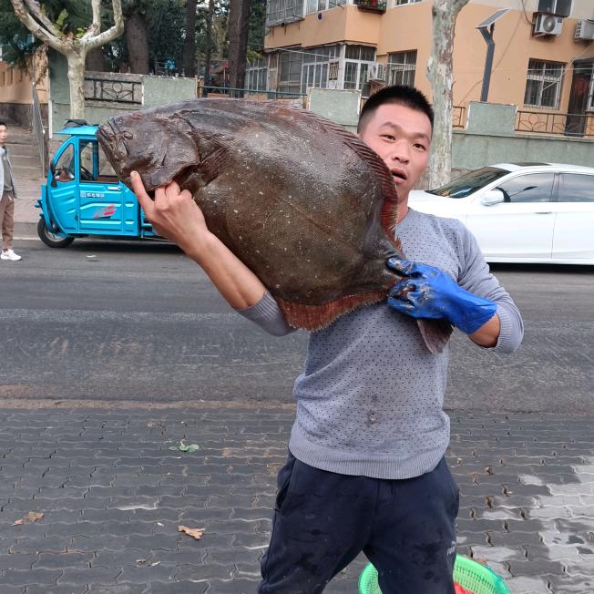 厉害了我的哥
