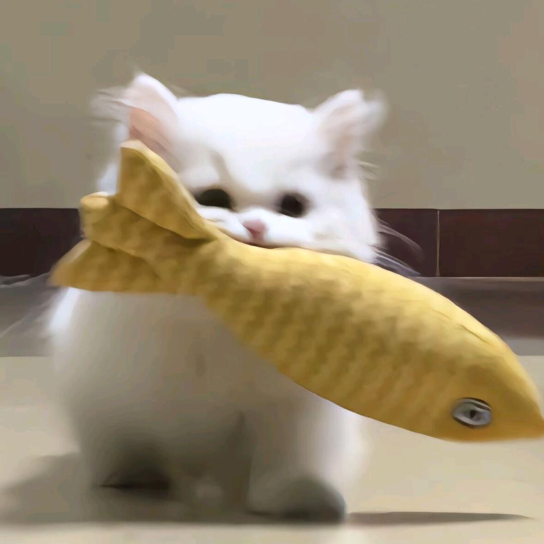 Bobo卜