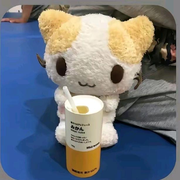 芒果布丁狗🍮