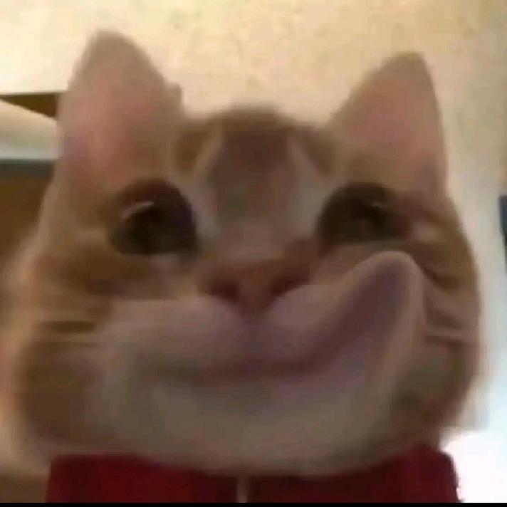 杰瑞