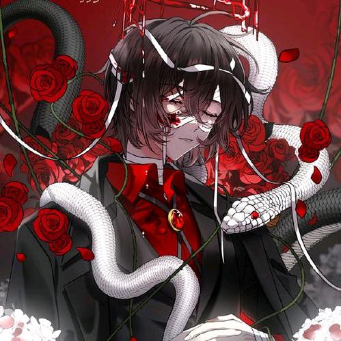 书鸢