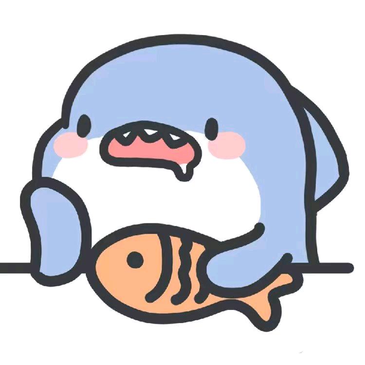 鲨鸟哟sny