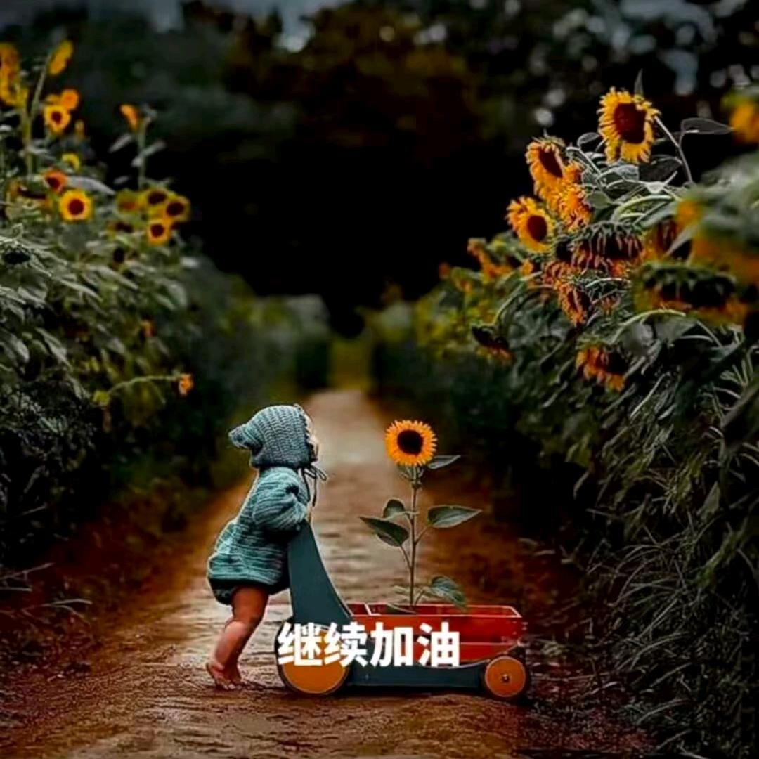 321456