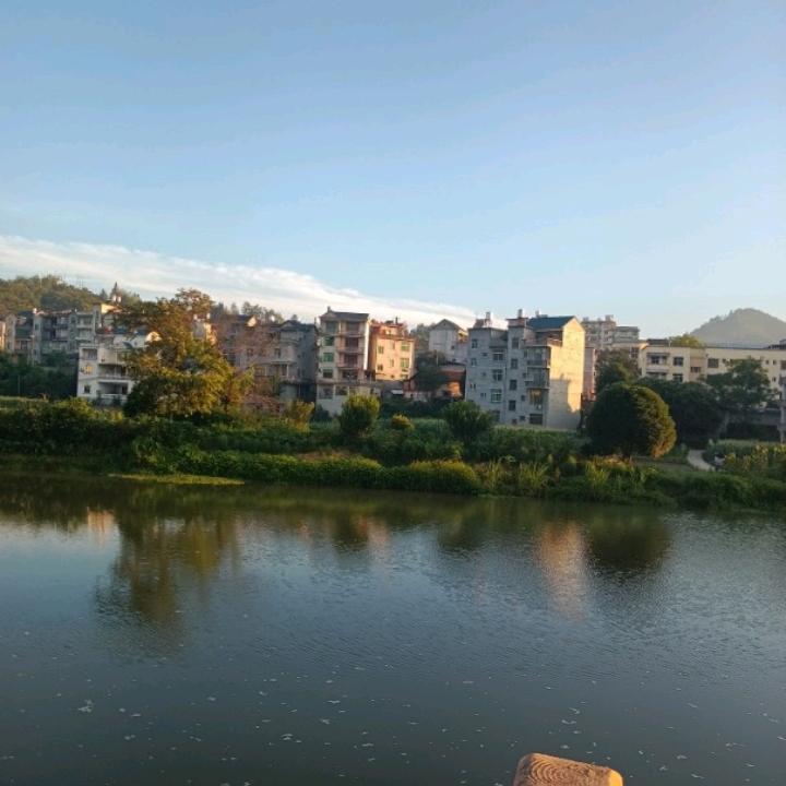 张秀兰头像