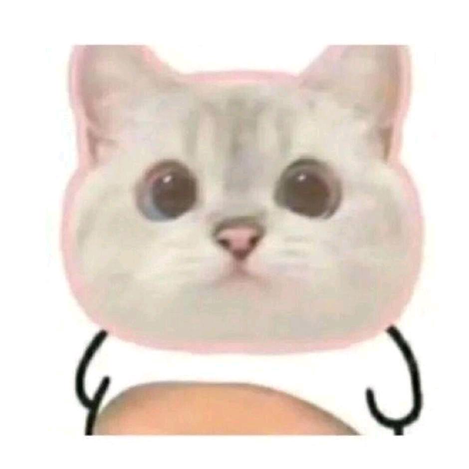 𝓌𝓁.小恒