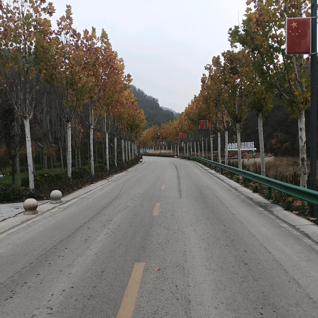 孔令代驾  接送人  包车